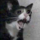 emoji_9