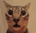 scared