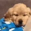yawn