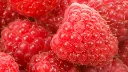 Redraspberriesmacrophotographyfr Discord Emoji