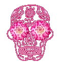 HQskull