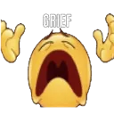 grief