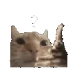 ler_qi_zoom ler_qi_zoom