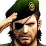 salute