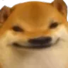 Pupproji_zDogehead