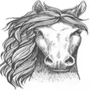 horse