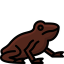 ChocoGrenouille