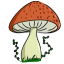 6657naturemushroom