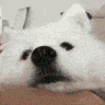 z_boop Discord emoji