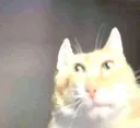 thatwasntfunny