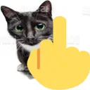 7525middlefingercat
