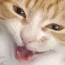 kirbymischief kirbymischief