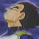 sadvegeta