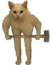 CatScroop CatScroop