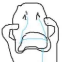 emoji_102 emoji_102
