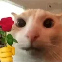 bbg