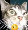 huh