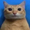 ok