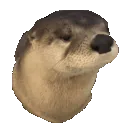 otterpop