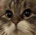 cute