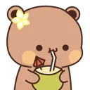 DCocoSip