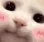 happycat