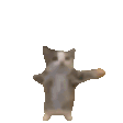 Fast Cat Discord Emoji