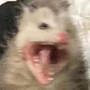 feral_scream