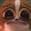 sadcat