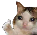 sadcat