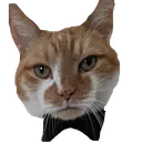 oscar