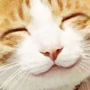 happycat