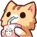catsip