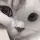 kat6 kat6