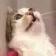 uuuuuuuuuuuuuu uuuuuuuuuuuuuu