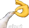 Shut