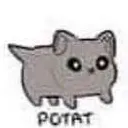 THEONEPOTATISREAL