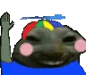 xddLilBroHi