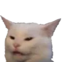 catsmh