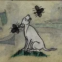 Bugg_01 Bugg_01