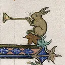 Rabbit_03