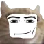 finechinacat