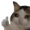 crythumbsup