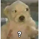 2c2671833a52406a9d0f72c439c54fd9