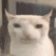 eat