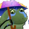 FrogeSadRain
