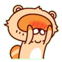 shyraccoon