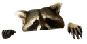 raccoonhi3