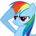 dashsalute
