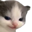 hehe